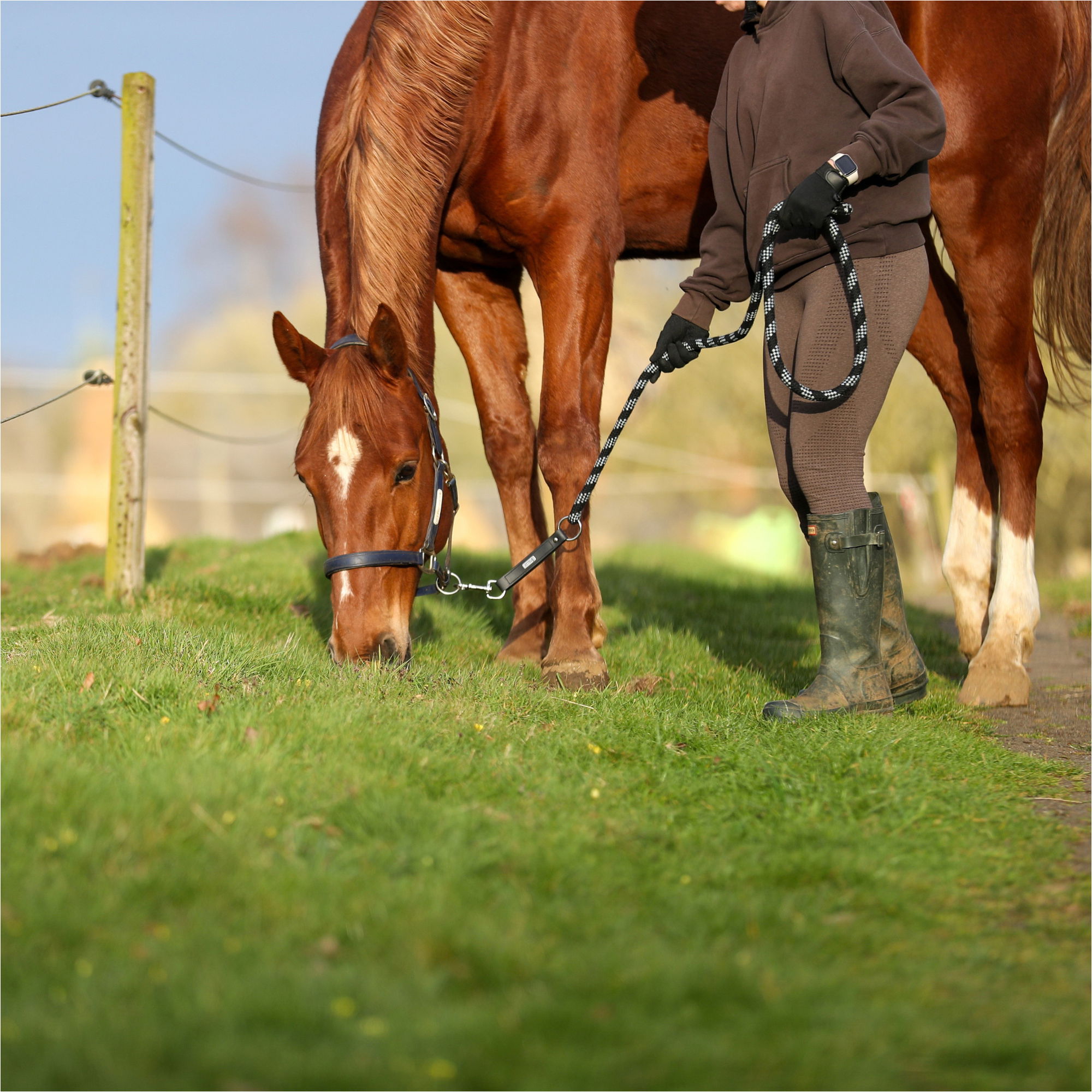 2026 Equilibrium Stellar Saftey Leadrope 32309 - Black